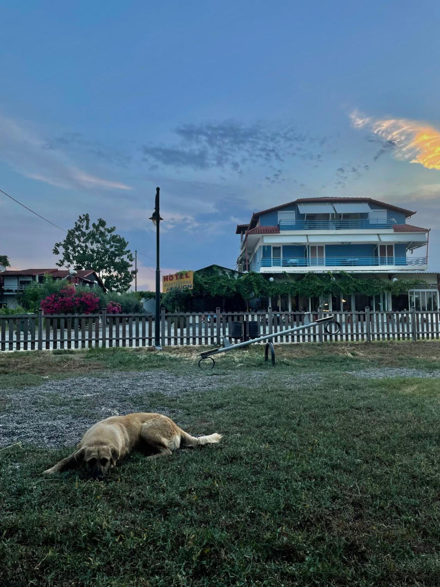 Aktaion Hotel Skala Alykis Luaran gambar
