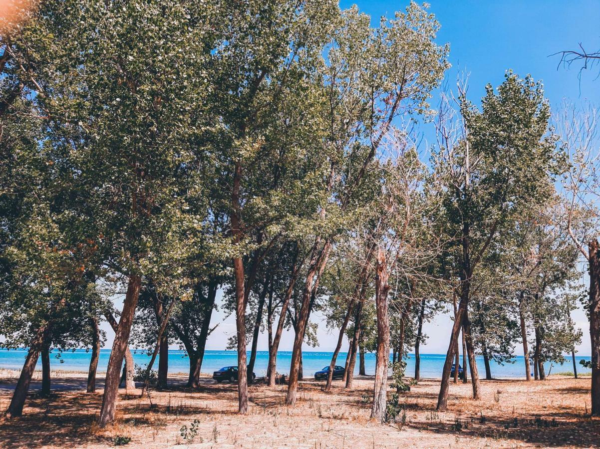 Aktaion Hotel Skala Alykis Luaran gambar